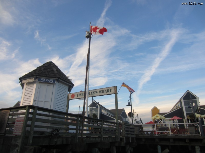 加拿大国旗图片