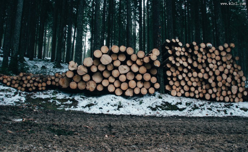 堆在一起的木材图片大全