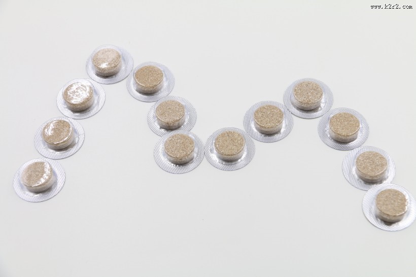 中药地龙片图片大全