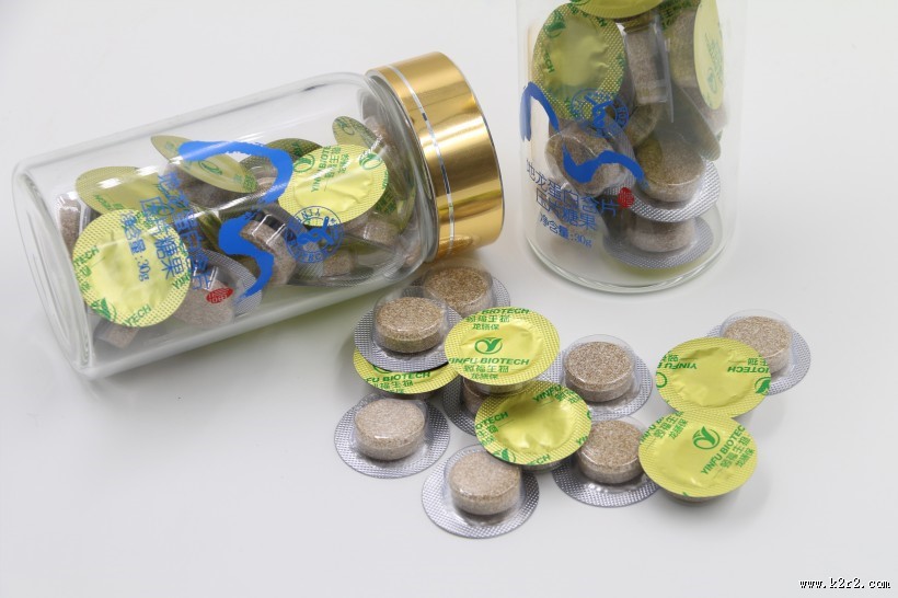 中药地龙片图片大全