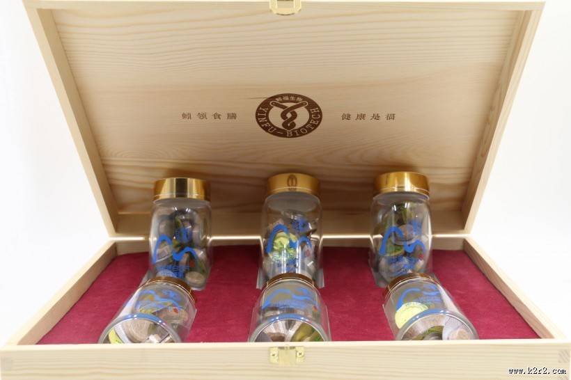 中药地龙片图片大全