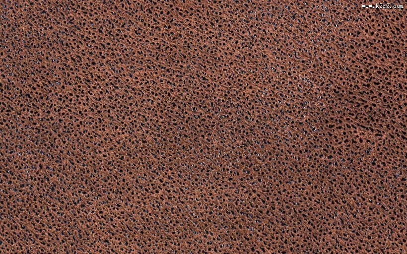 皮毛背景特写图片