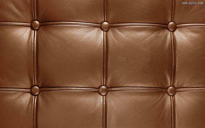 皮毛背景特写图片