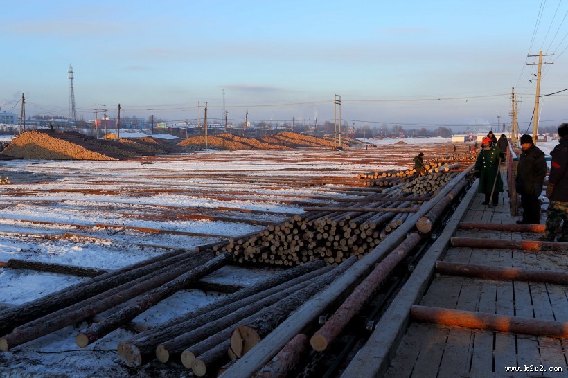 采伐场地图片大全