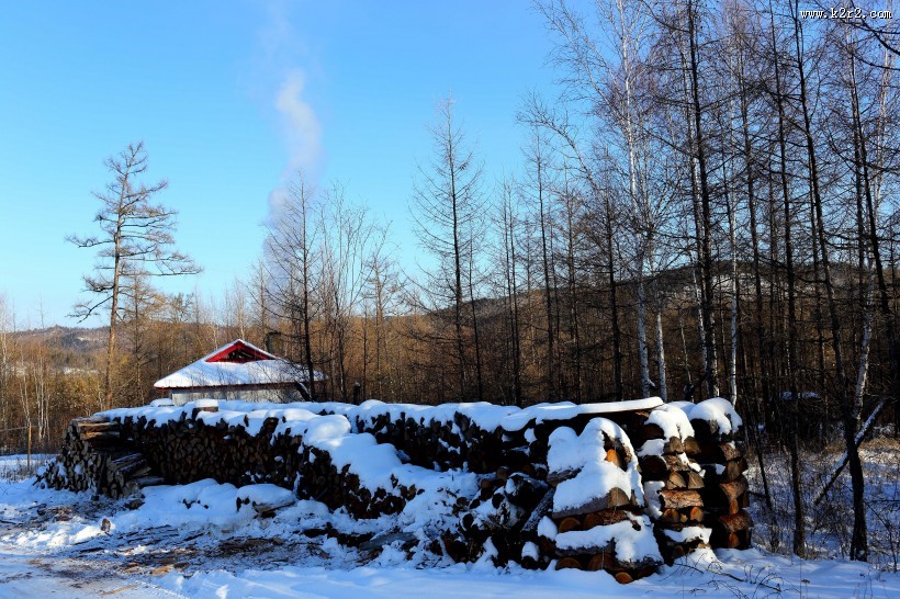 采伐场地图片大全