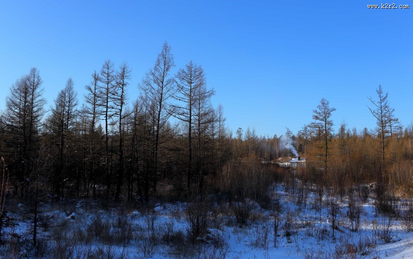 采伐场地图片大全