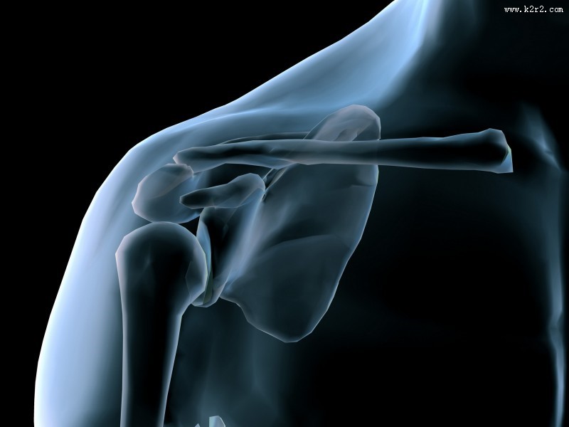 人体x光片图片大全