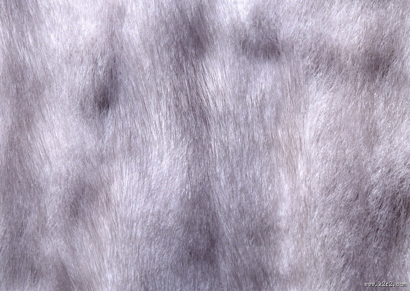 动物皮毛图片