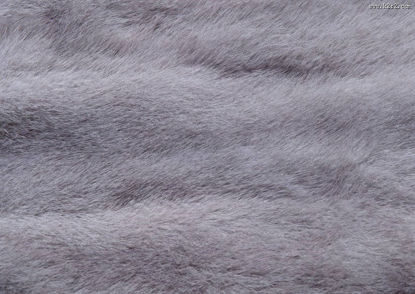 动物皮毛图片