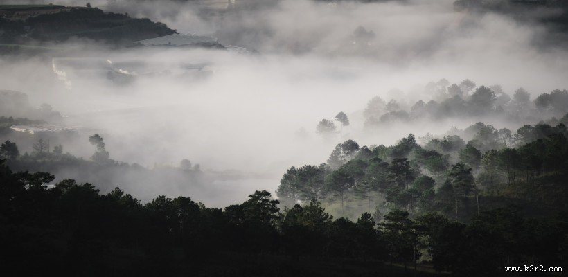 烟雾缭绕的山林图片