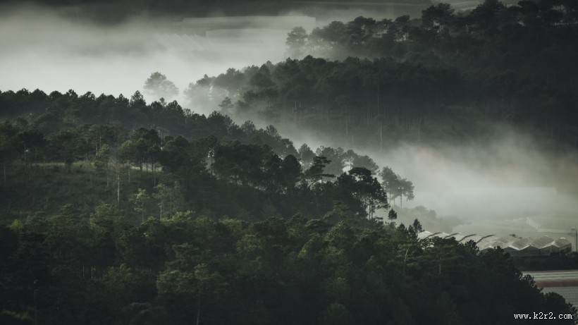 烟雾缭绕的山林图片