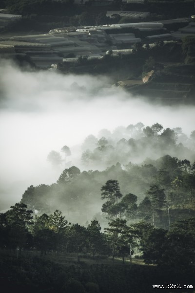 烟雾缭绕的山林图片