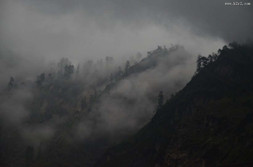 大雾天的森林图片