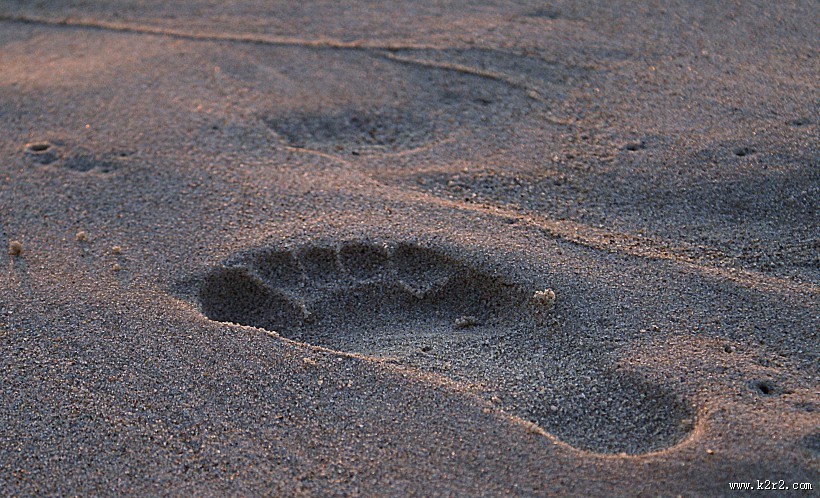 沙滩上的脚印高清图片