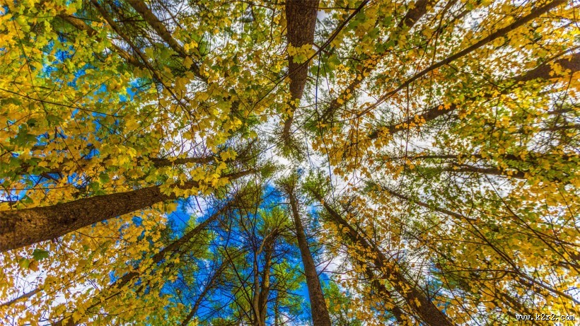 唯美而让人沉醉的秋季风景图片