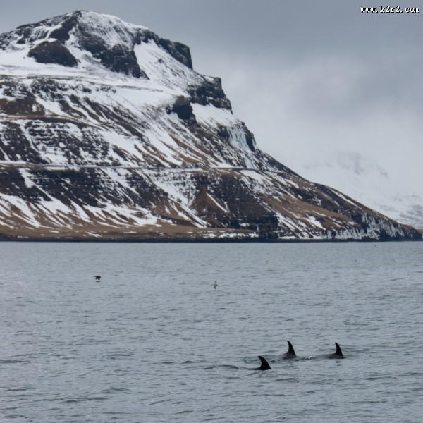 雪山景色图片大全