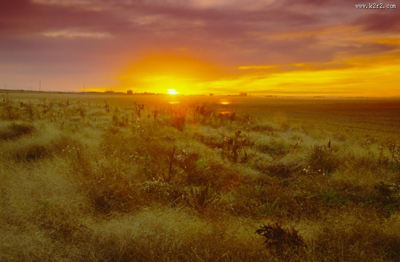 广袤的草原图片