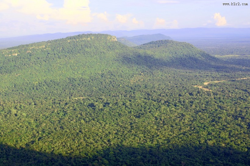 绿意盎然的自然风景图片