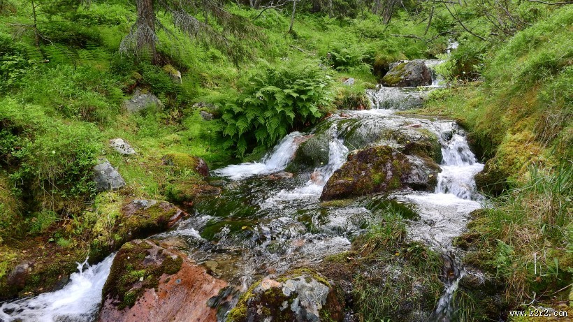 湍急的溪流图片