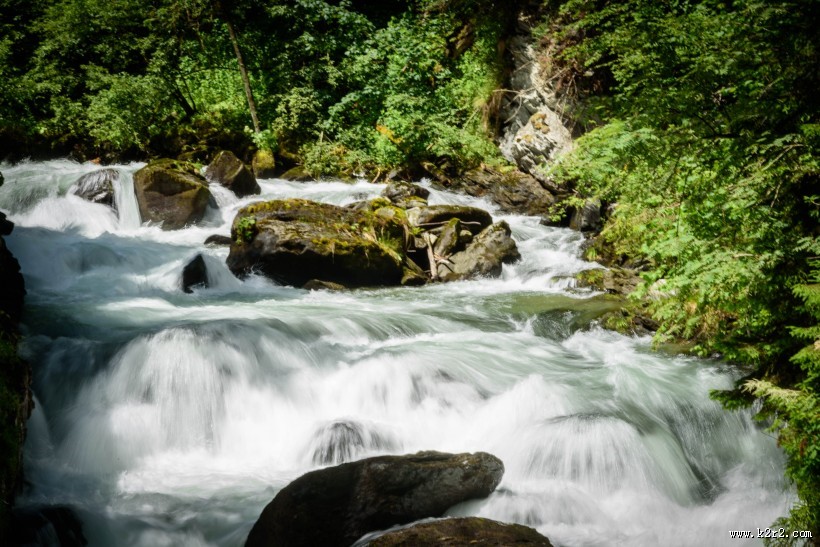 湍急的溪流图片