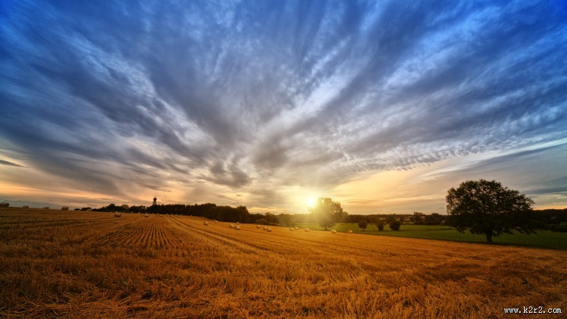 辽阔的田野图片