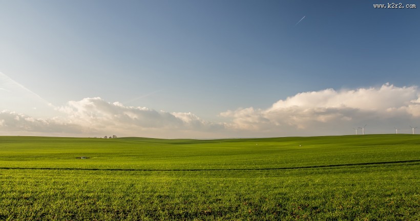一望无际的大草原图片
