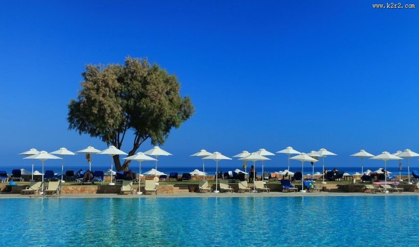 独自生长的一棵树图片