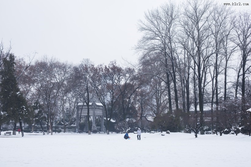 寒冷冬季雪景图片