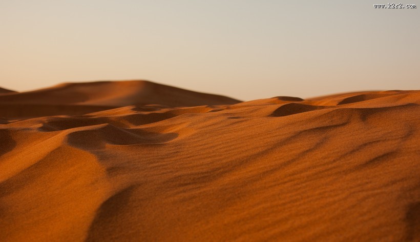 一望无际的沙漠图片