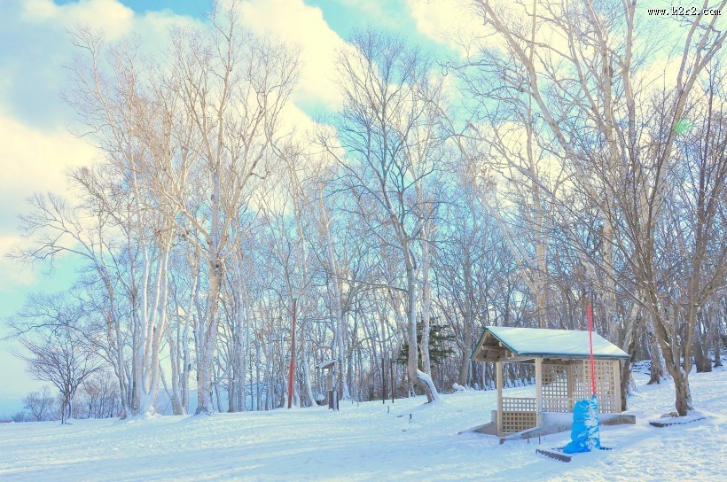 郊外的美丽雪景图片
