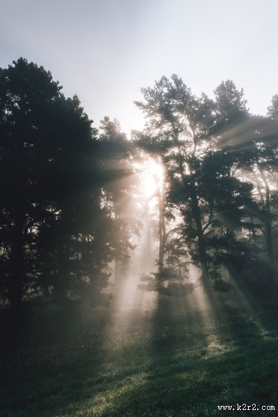 唯美的晨光图片