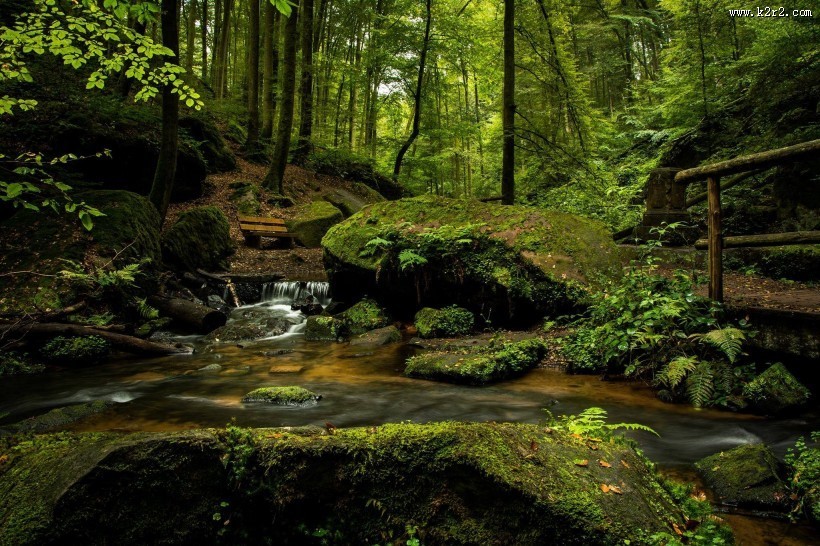 森林小溪山间流水图片