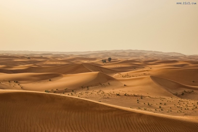 辽无边际的沙漠图片