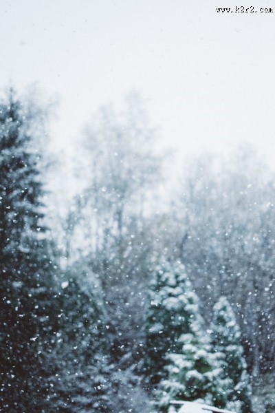 冬天下雪时的美景图片