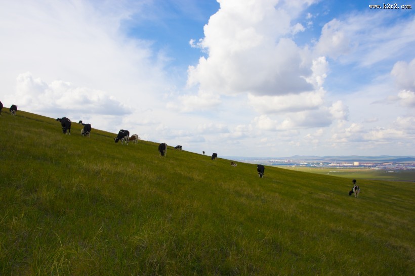 唯美的草原蓝色天空图片