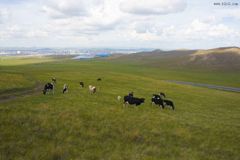 唯美的草原蓝色天空图片