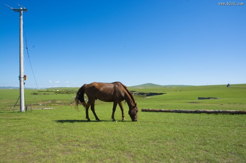 唯美的草原蓝色天空图片