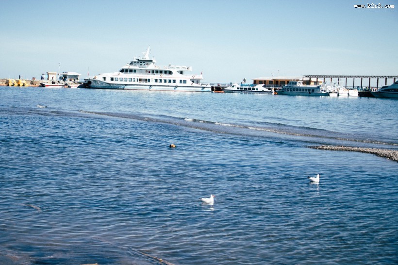 唯美滩涂风景图片