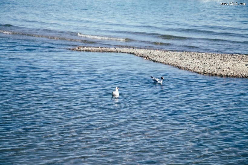 唯美滩涂风景图片