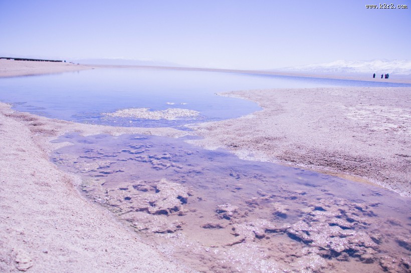 唯美滩涂风景图片