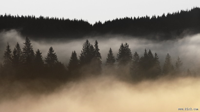浓雾弥漫的景色图片大全