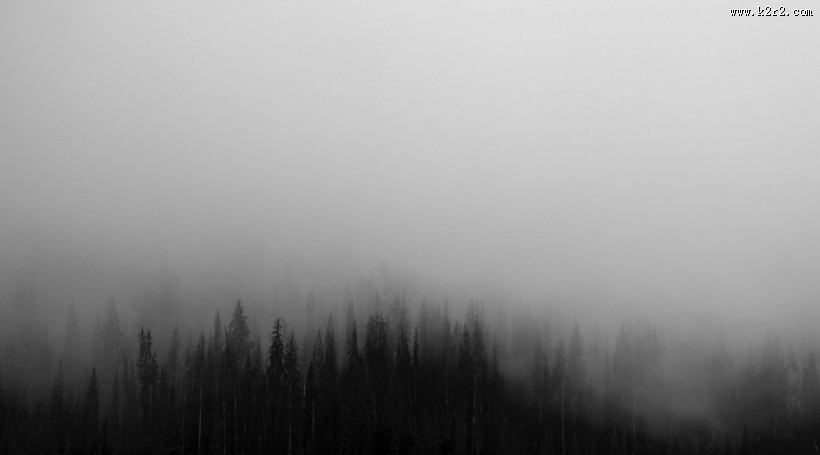 浓雾弥漫的景色图片大全