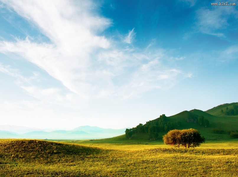 一望无际的大草原图片大全