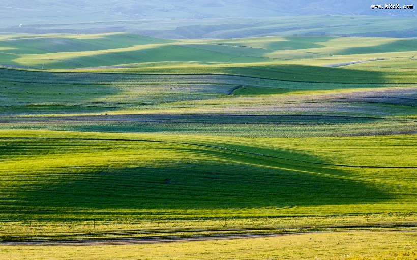 一望无际的大草原图片大全