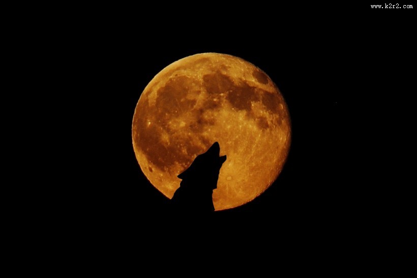 中秋圆圆的月亮图片