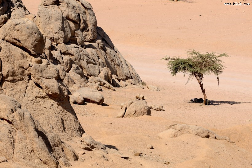 美丽的沙漠风景图片
