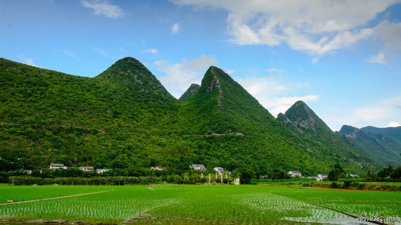 田园风景图片大全