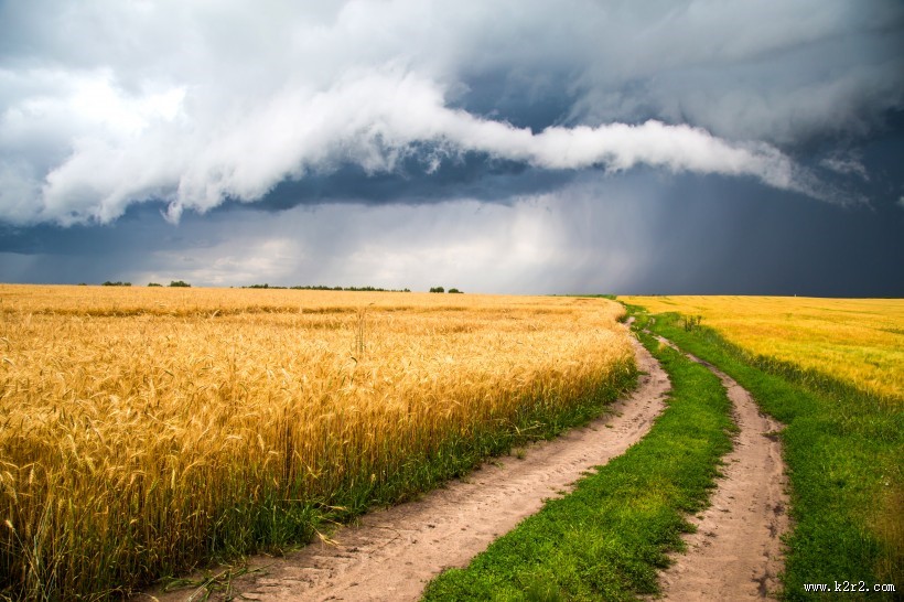 道路两旁的风景图片大全