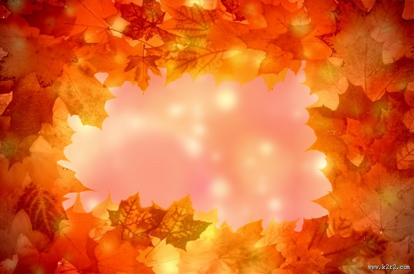 五彩缤纷的枫叶图片