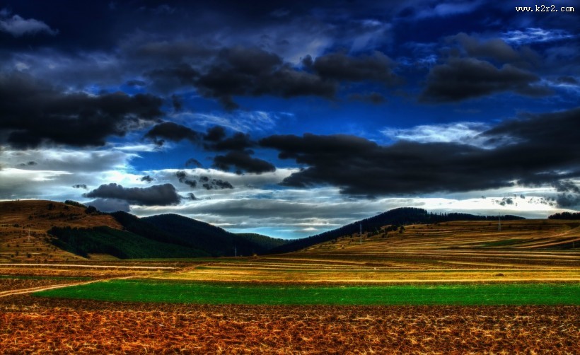 绿色的田野图片